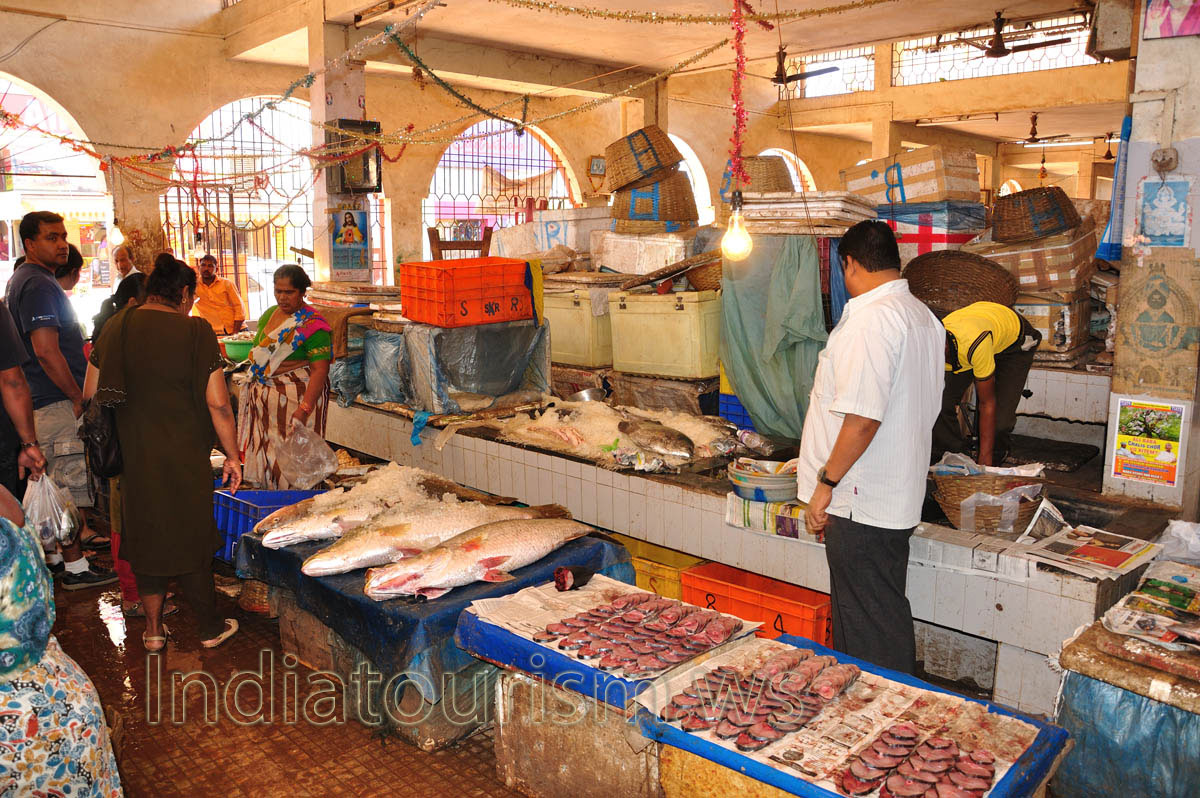 Fish Market: fish sprinkled with ice