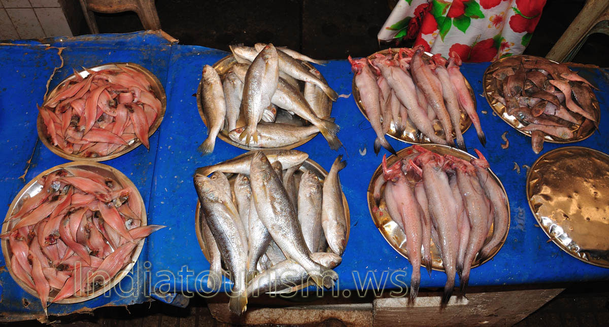 Fish Market: fish assortment of small sizes