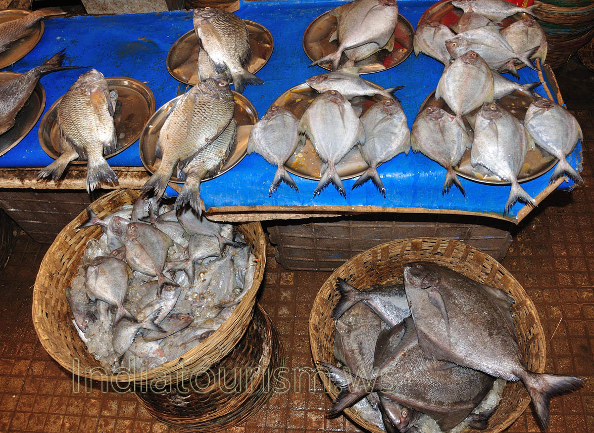 Fish Market: a small triangular-shaped fish