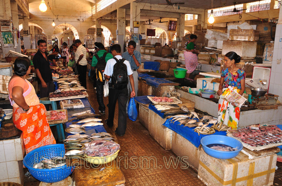 Fish Market: all people leave the market with a complete packages of fish