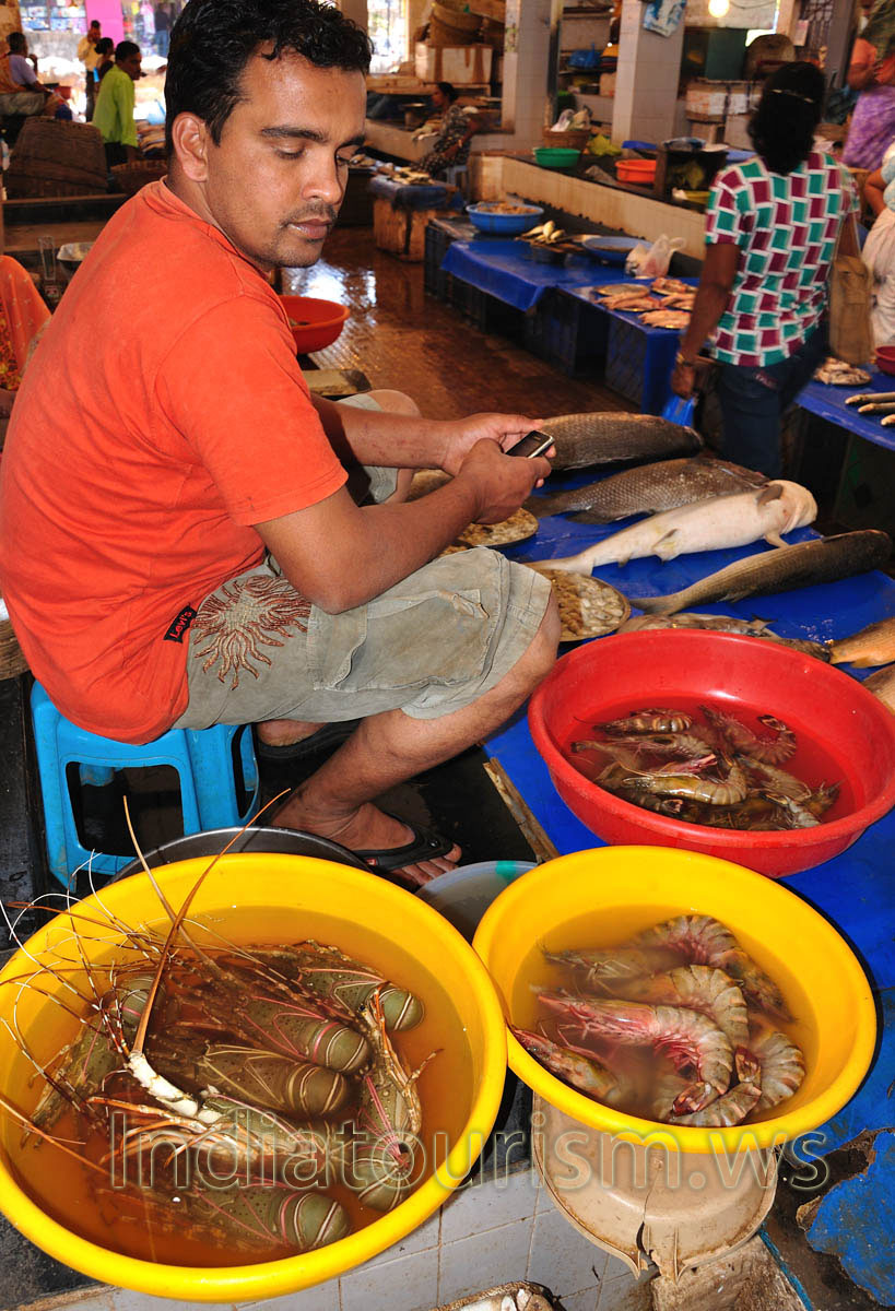 Fish Market: lobster vendor