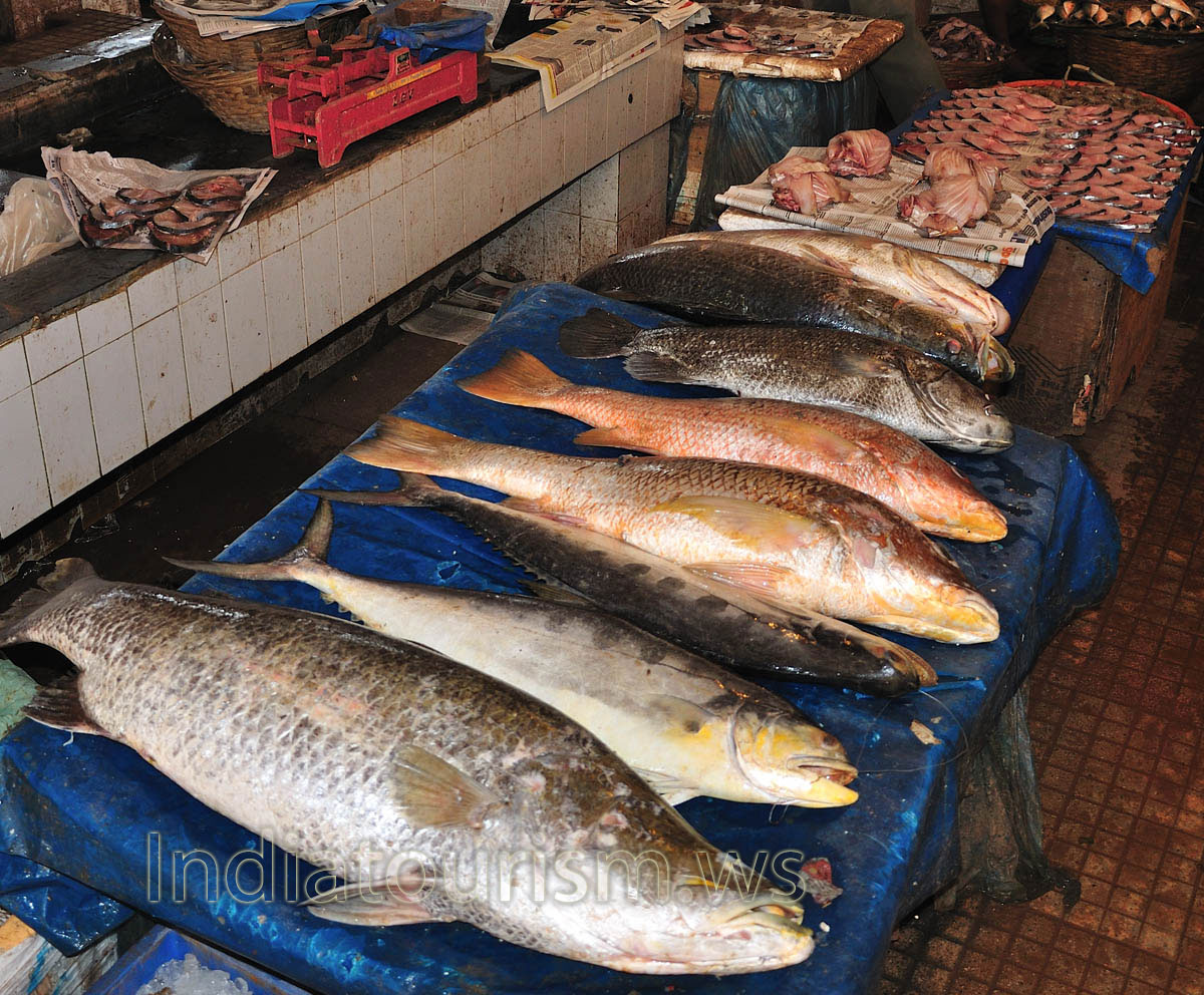 Market near K.B.S.: big fish of different types