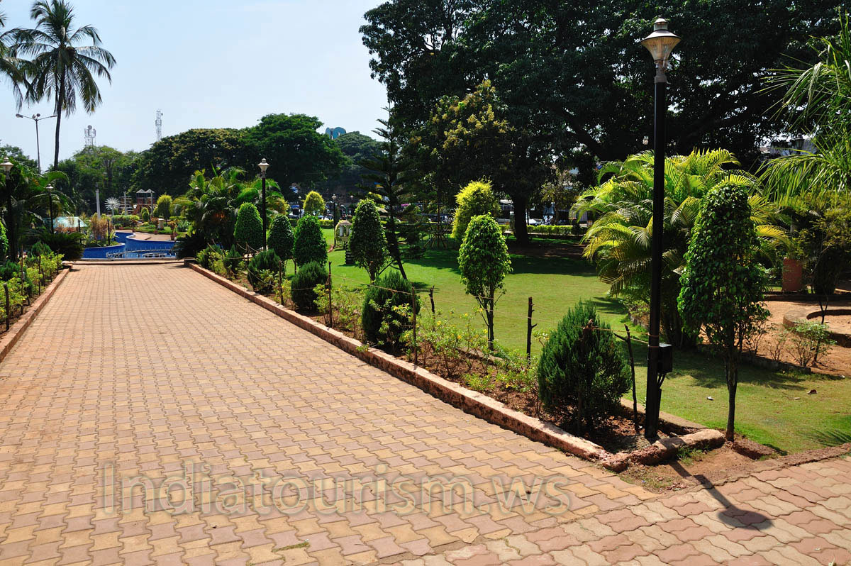 small landscaping trees are everywhere in the Margao municipal garden