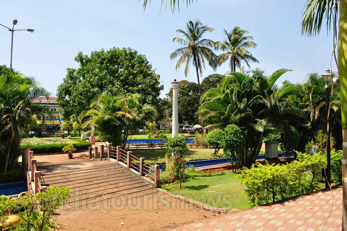 Margao municipal garden: different types of palm trees are growing here