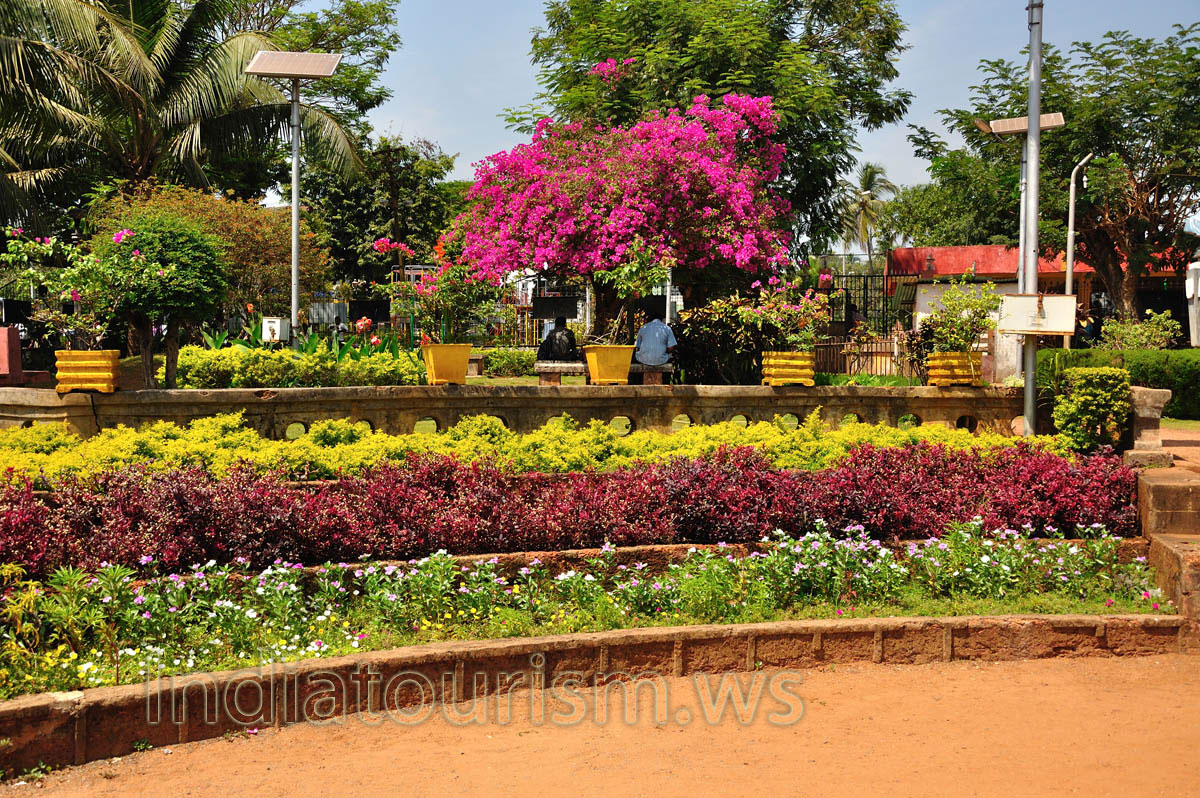 Margao municipal garden: different color rows from the flowers