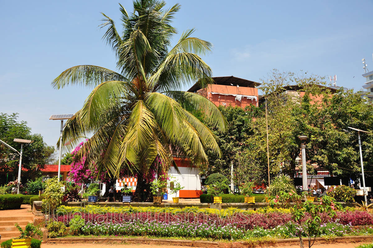 Margao municipal garden: the abundance of flowers