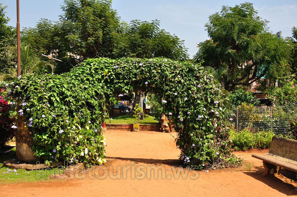 Margao municipal garden: the arch made from the lush green