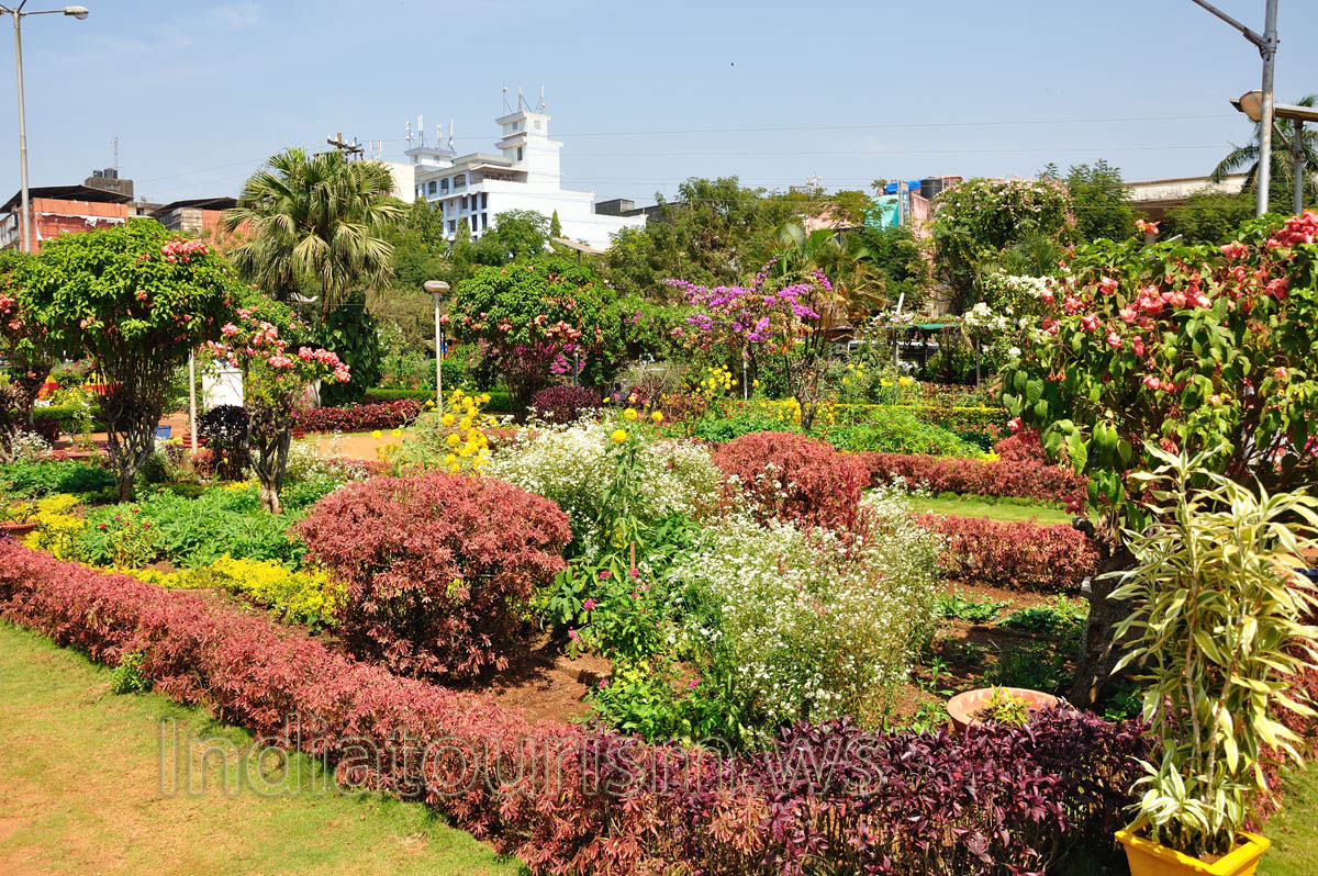 Margao municipal garden: landscape bushes of vinous color