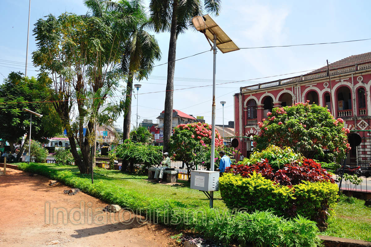 Margao municipal garden: royal palms