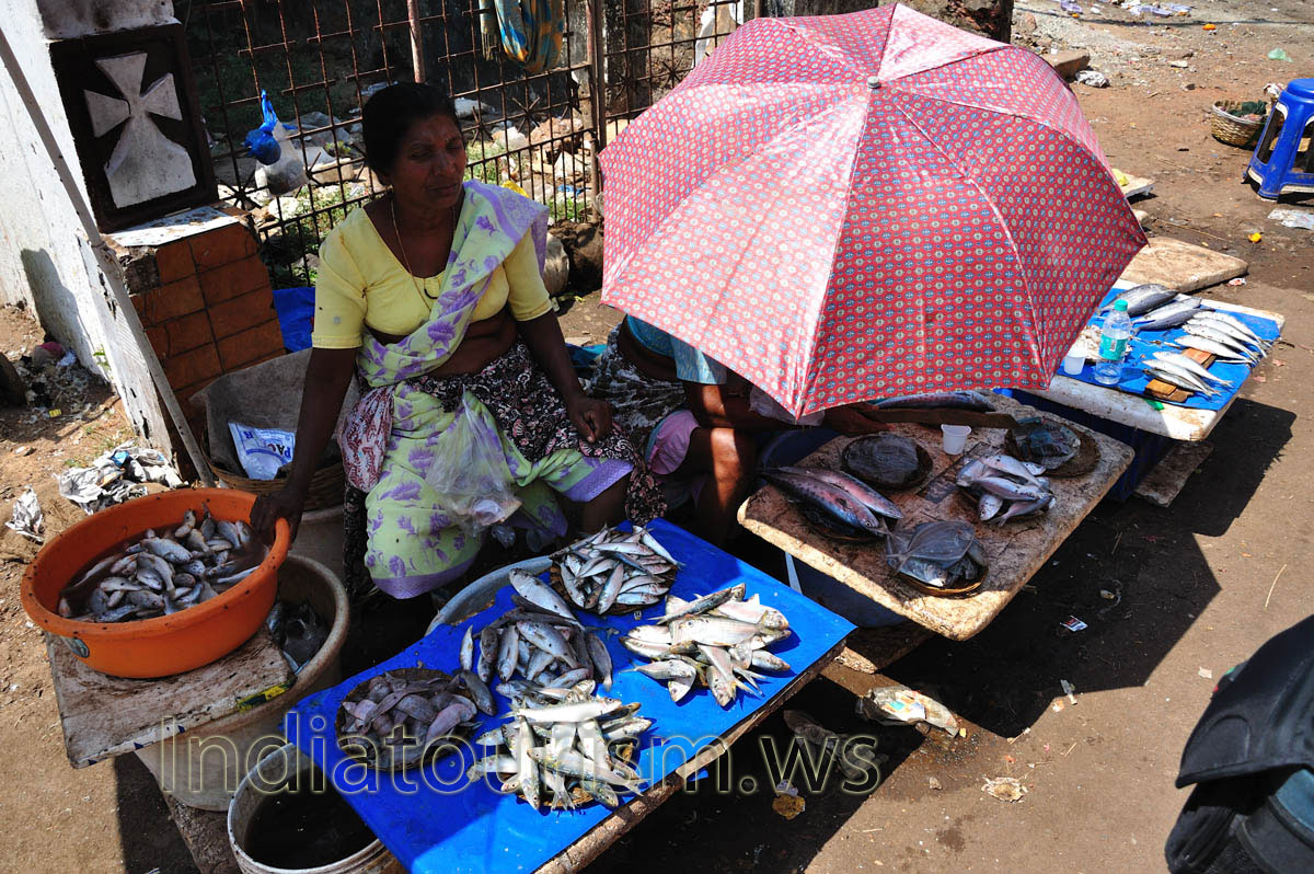 The Old Fish Market has a very small range of seafood