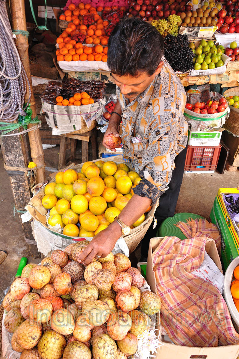 New Market: vendor takes custard-apples in his hands