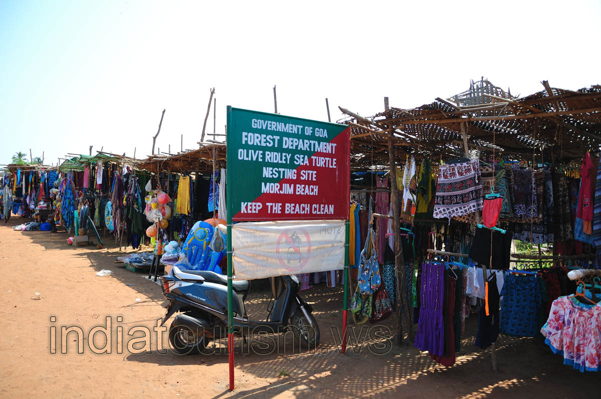 Government of Goa, Forest Department, Olive Ridley Sea Turtle nesting site: Keep the beach clean