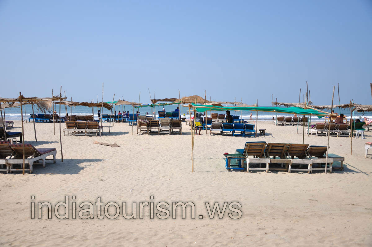 sea view through sunbeds