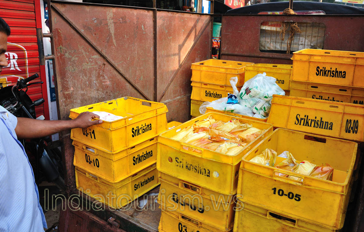 you can buy curd and cottage cheese at very cheap price here