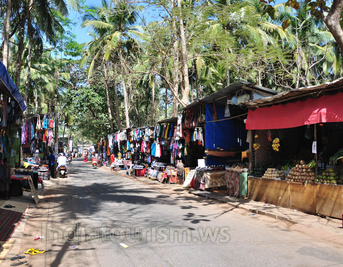 sunny village rests in the shade of palms in the noon