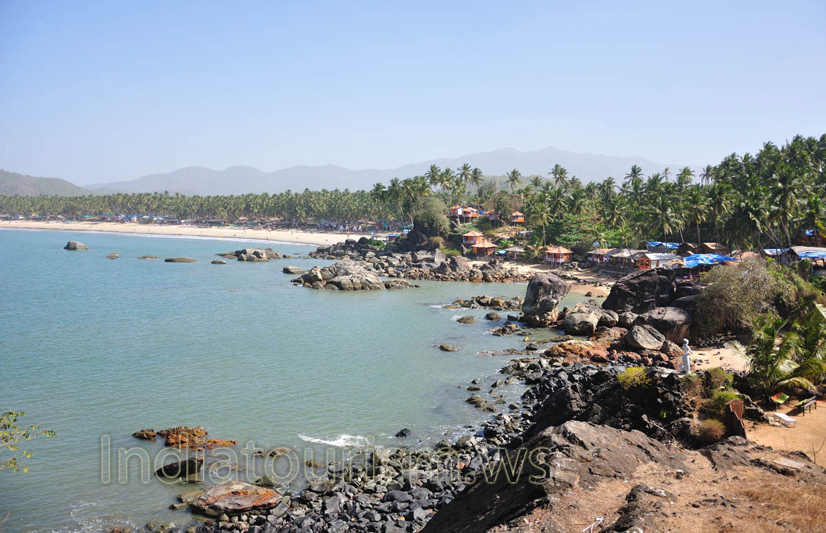 palm trees are a dime a dozen here