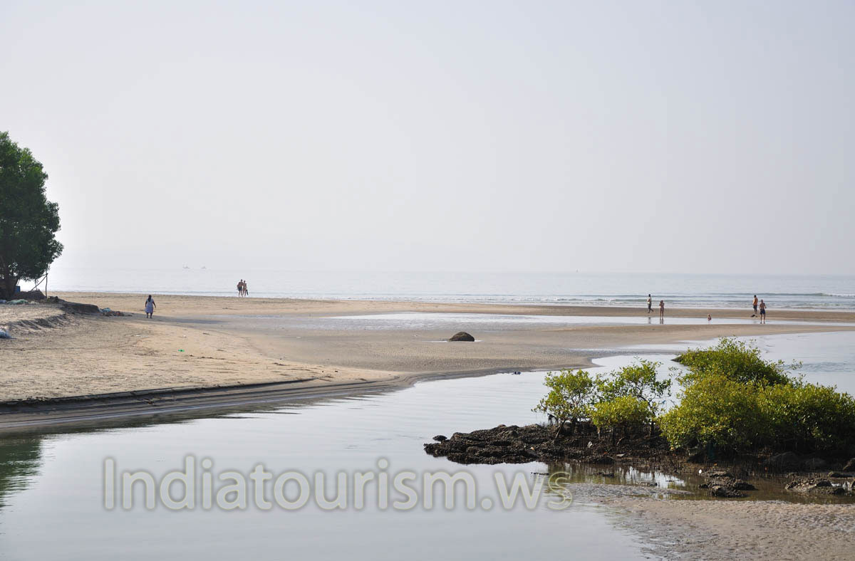 place where a river meets the sea