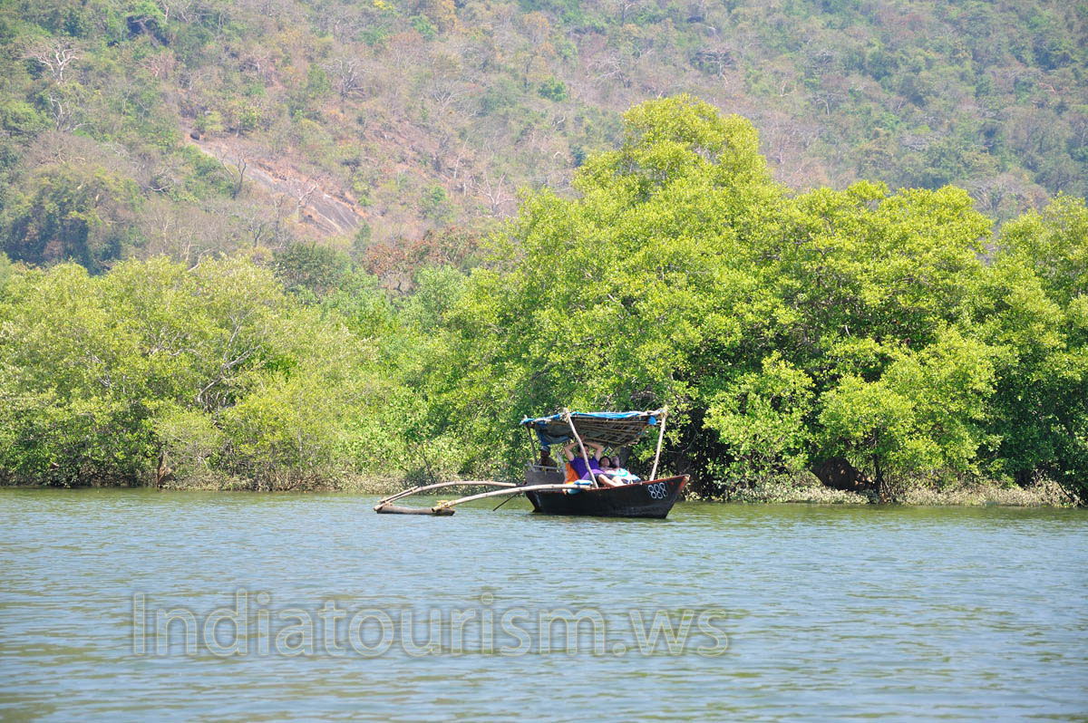 balancing system of the boat is made from the wood