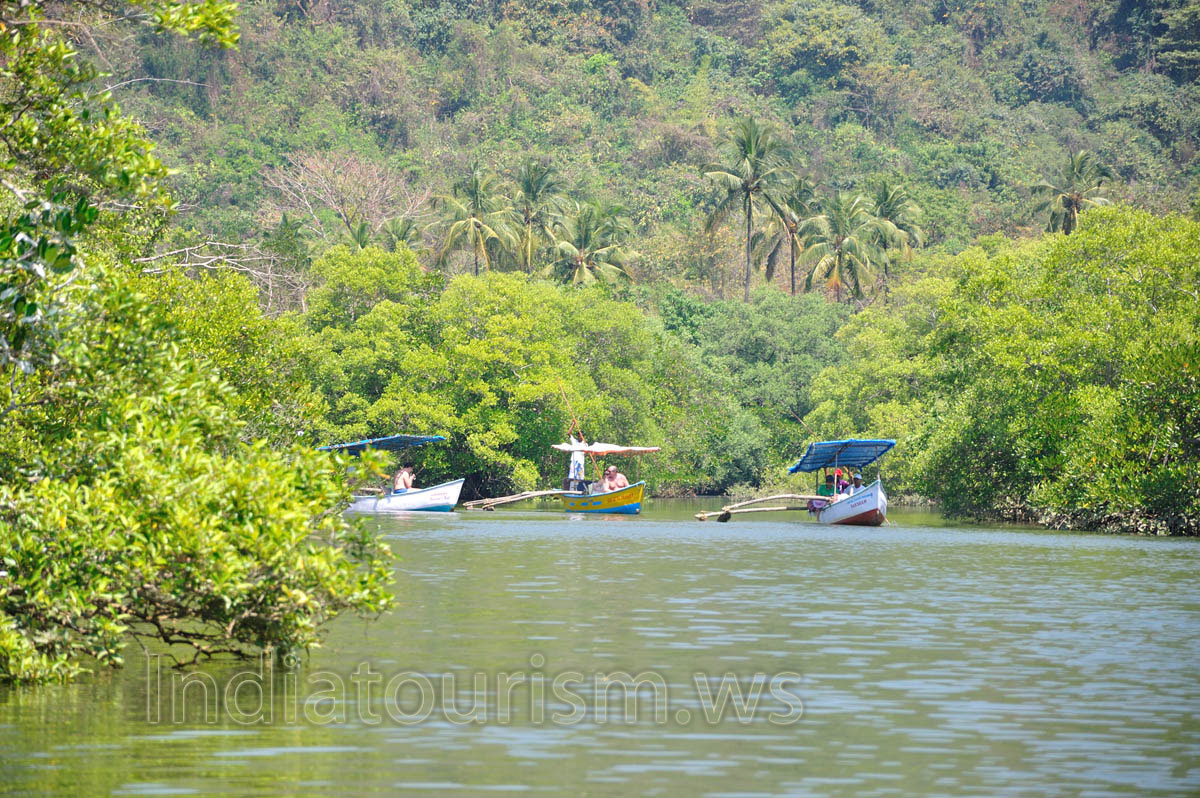 boats and palms