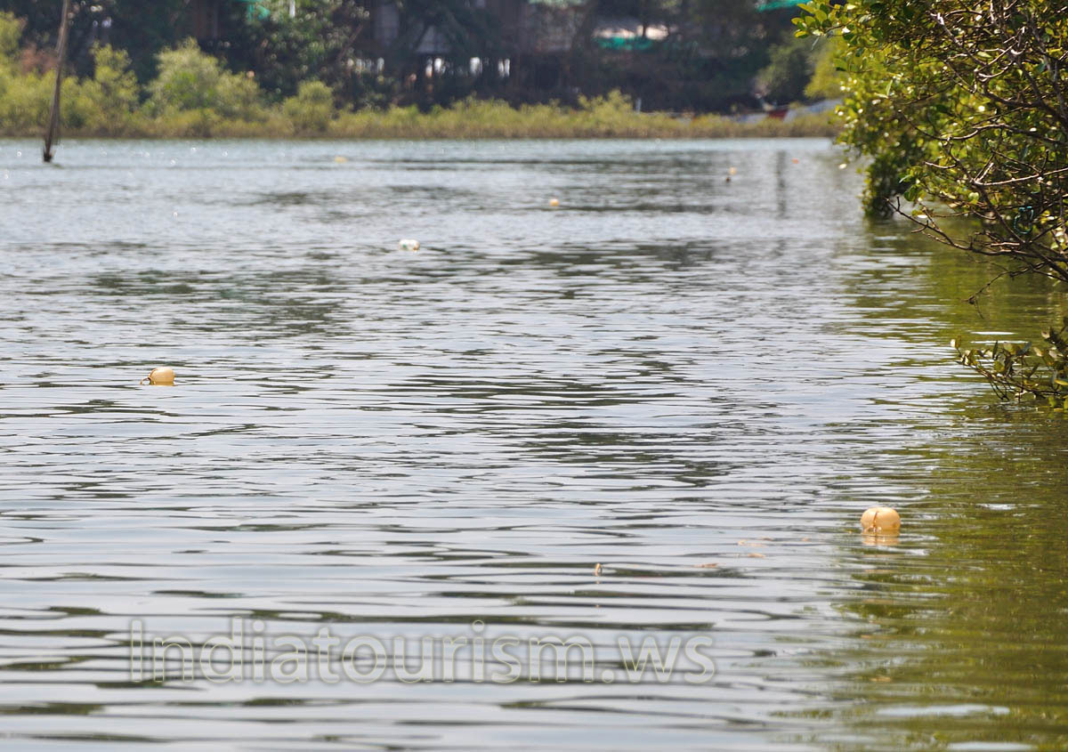 fishing floats of our crab traps