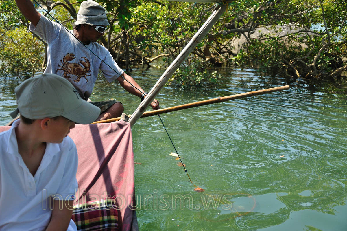 Crab traps have been thrown close to the bushes
