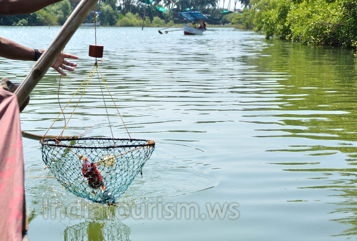 one more crab been catched in the trap