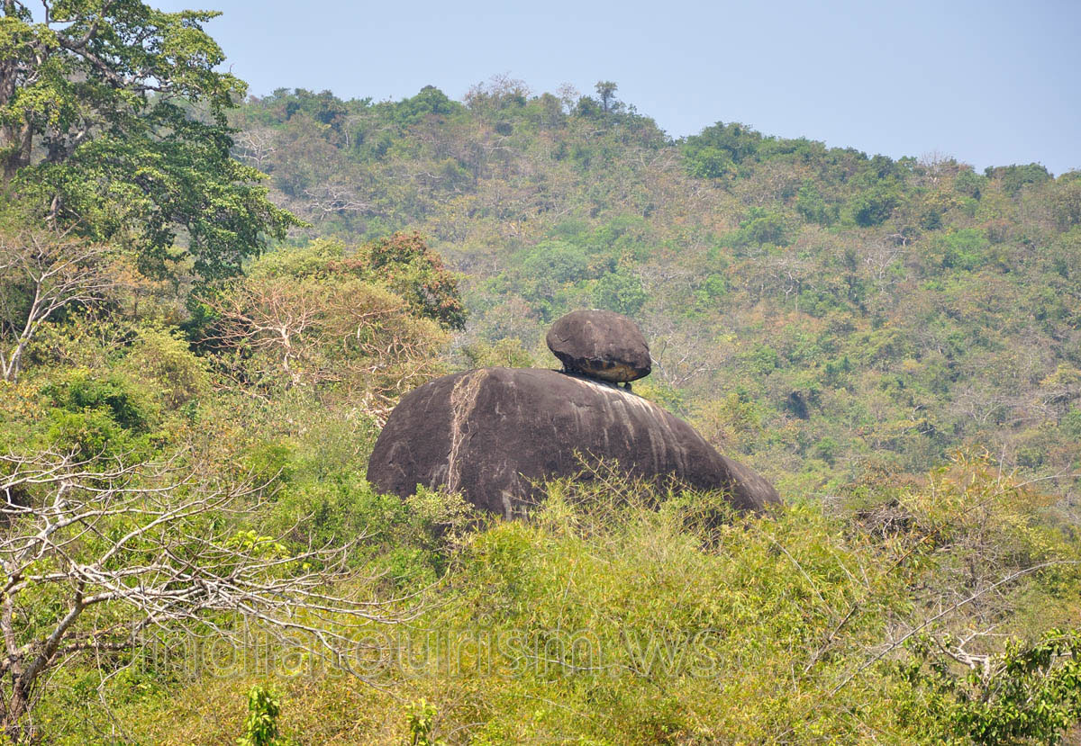 this rock is the home to the monkeys