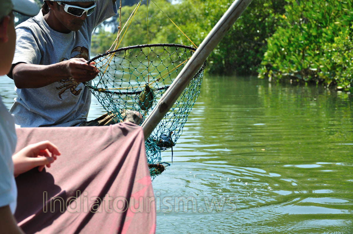 These crabs are too small, we have to release them!