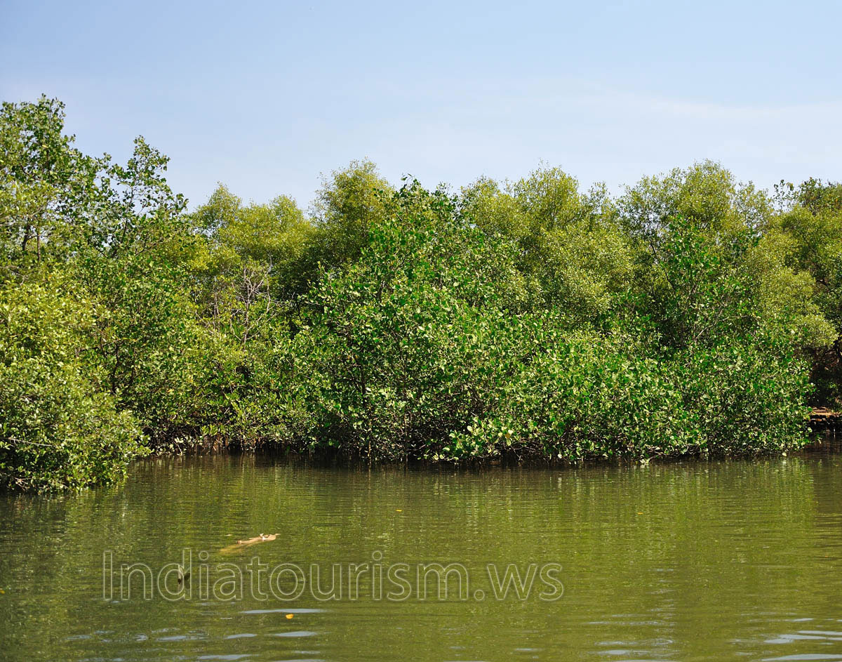 lake in this place looks like an european lake
