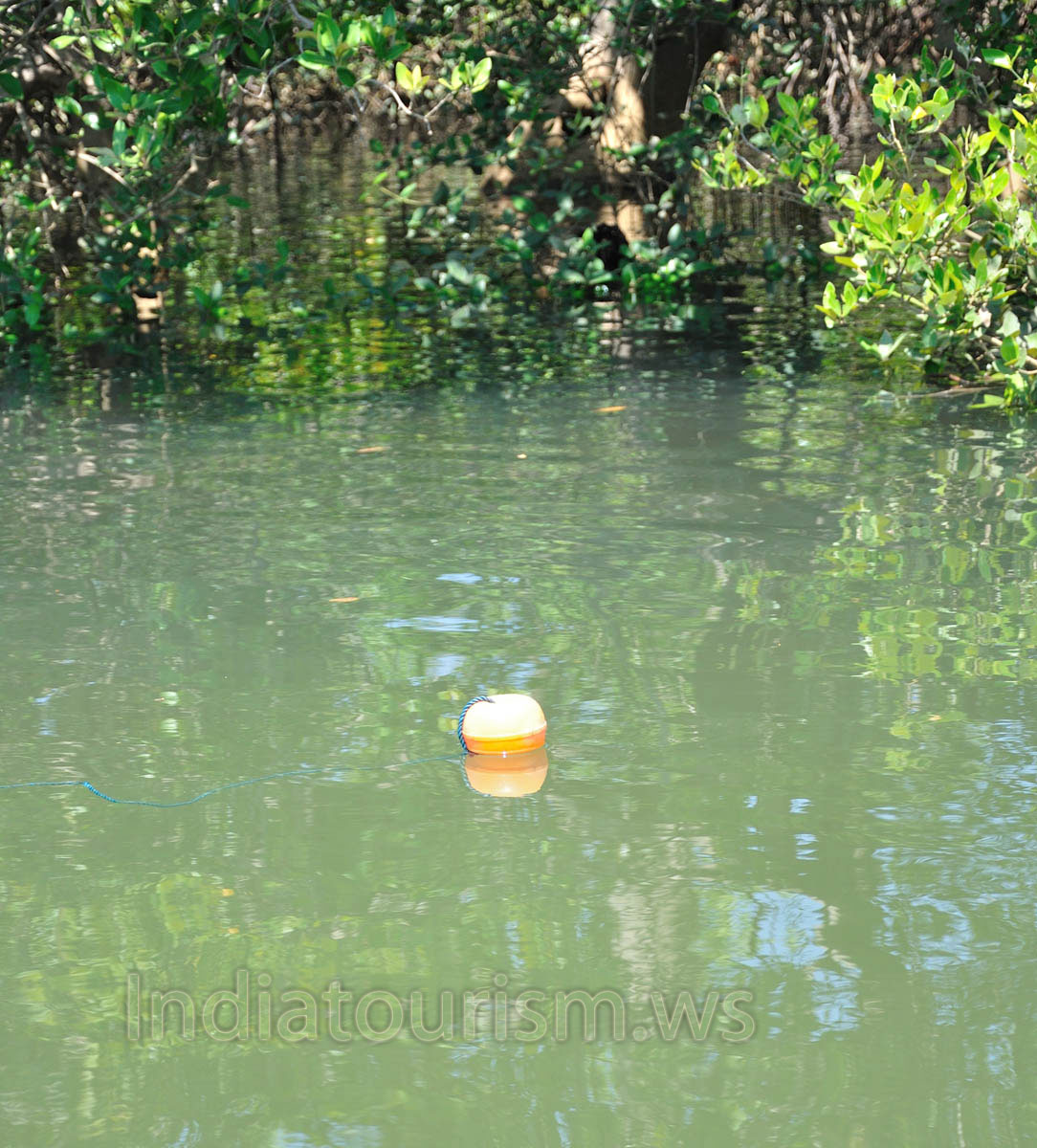 orange fishing float in the water