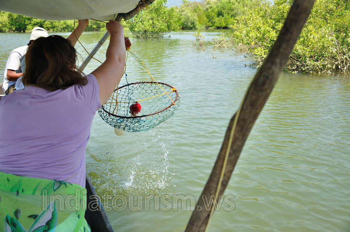 Ouch! An empty trap!