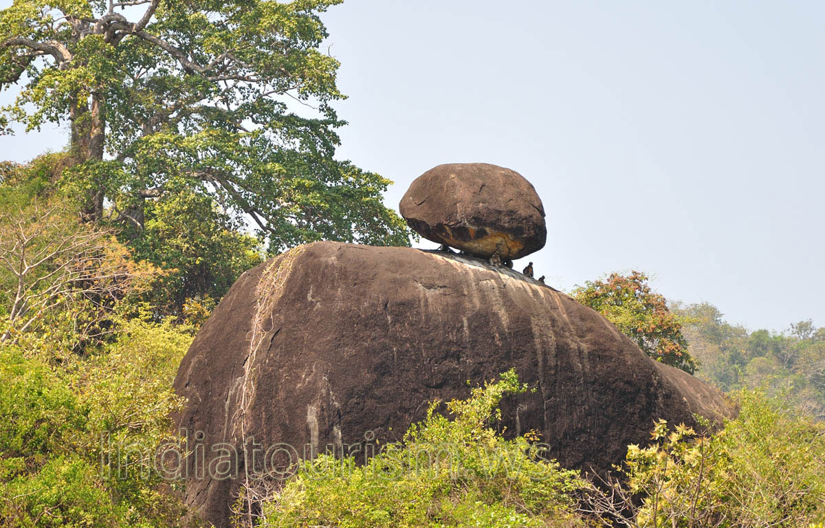 rock is full of the monkeys