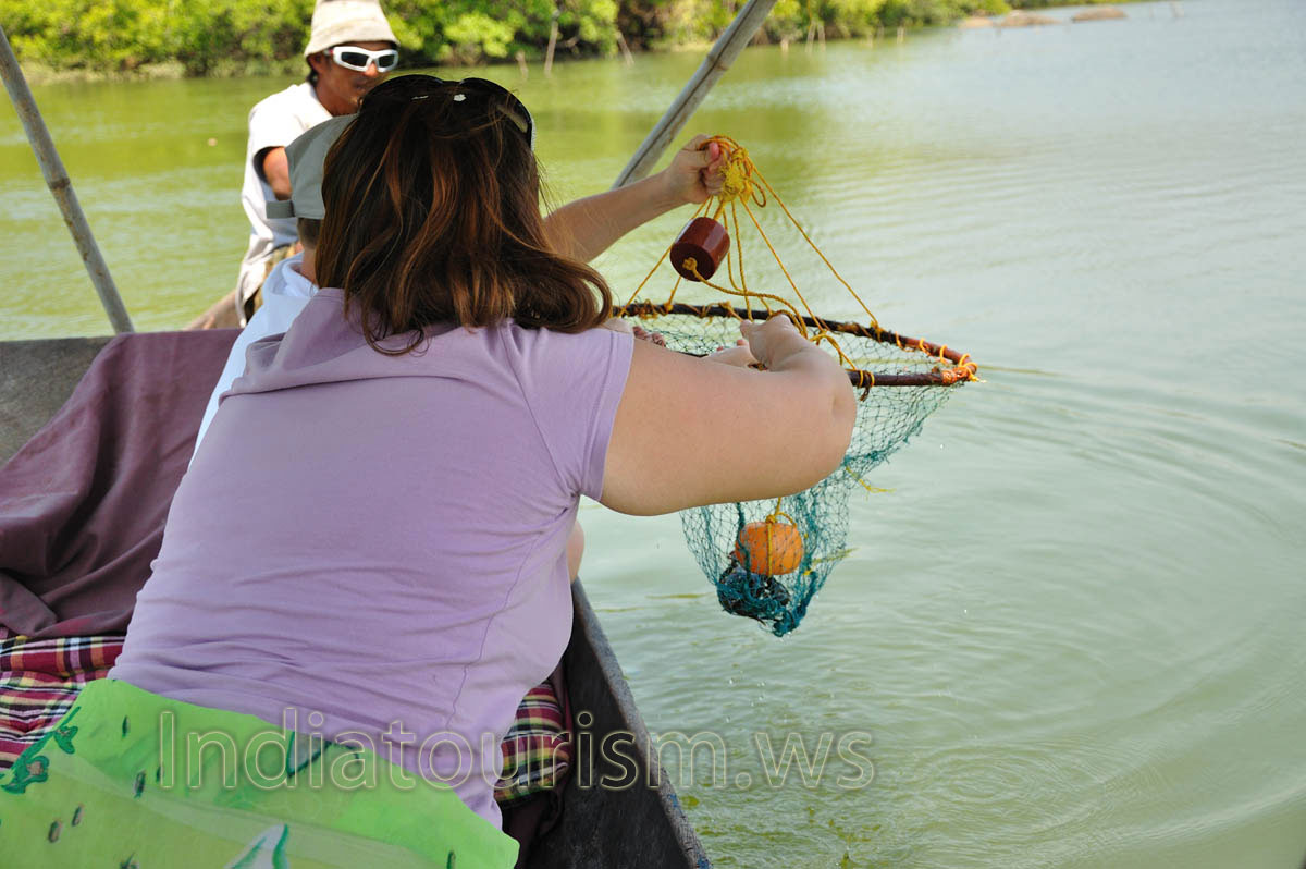 the trap with the crab