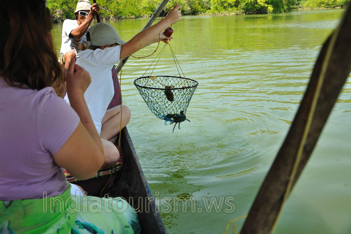 my son also has caught the crabs