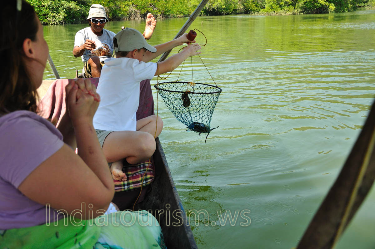crab catcher has lifted his foot