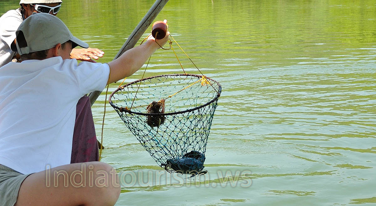 Ouch! Our lunch will be very tasty!