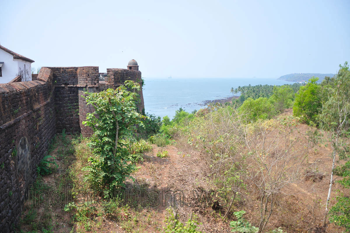 Thicket outside the wall