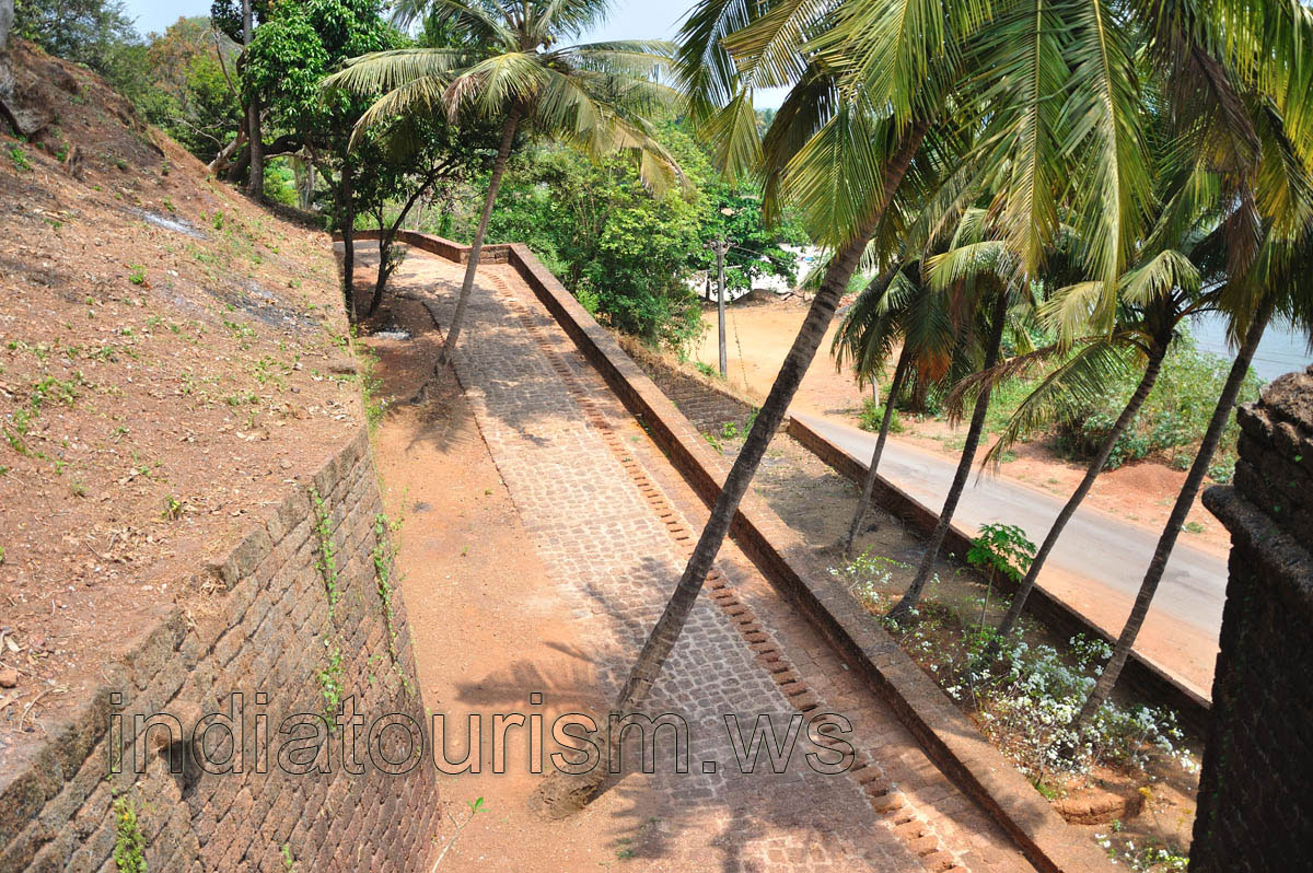 Coconut palm trees grow on the fort's territory