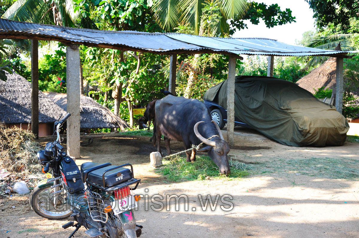 TVS is a ordinary motorbike for rent in Hampi
