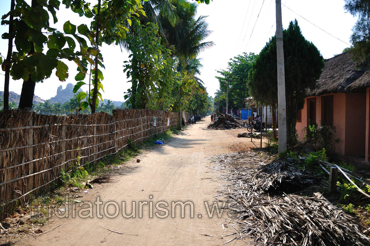 main street was separated by a fence from the rice field