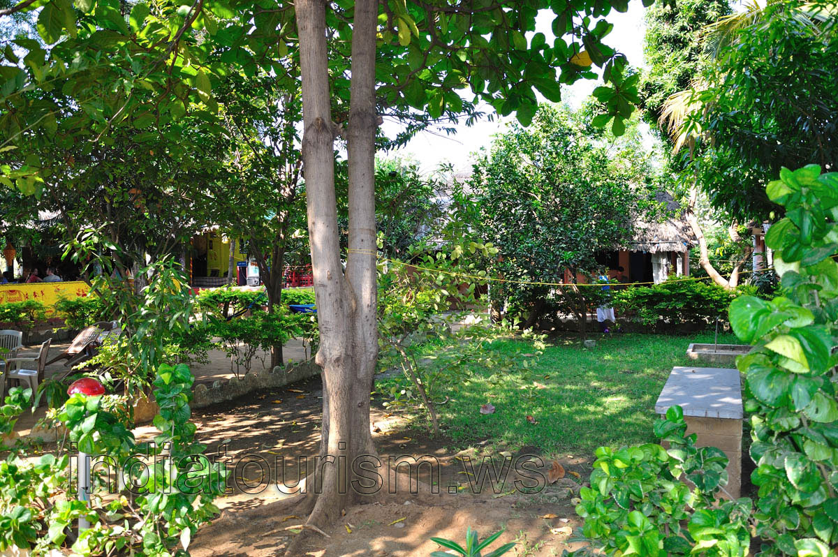 Sri Uma Shankar, green courtyard