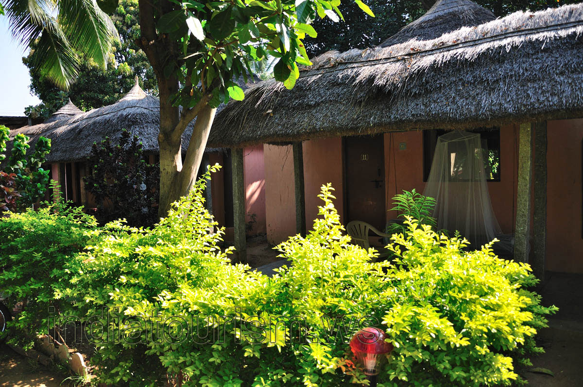 Teja guest house, huts