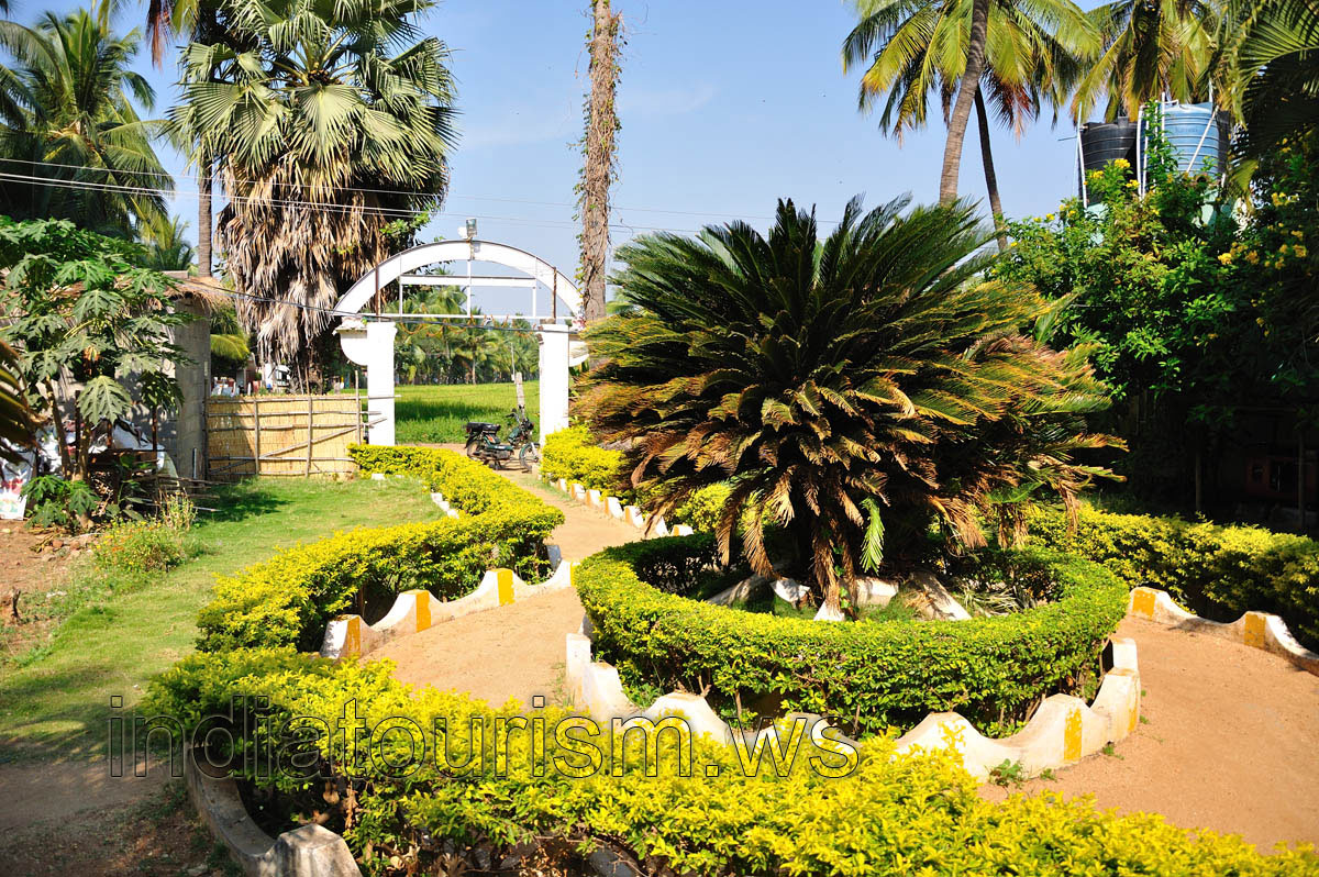 Sunny guest house, Cycas revoluta at the entrance