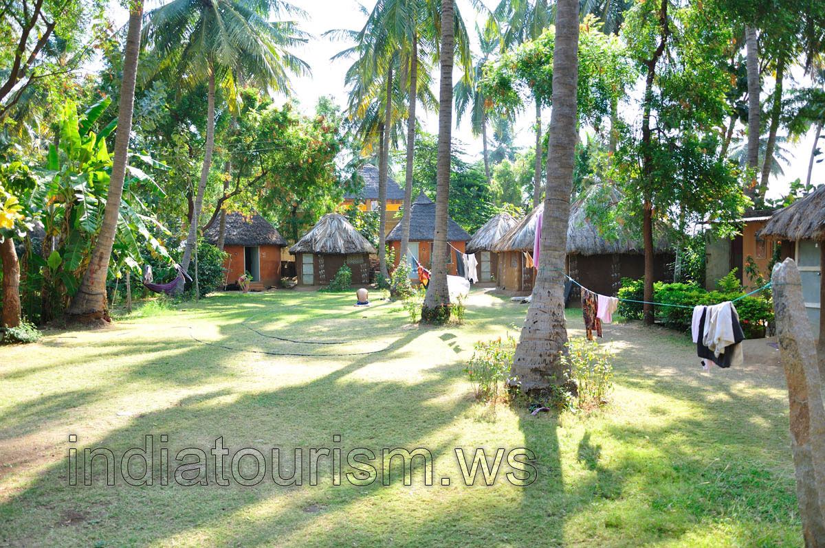 Manju's Place guest house, green courtyard