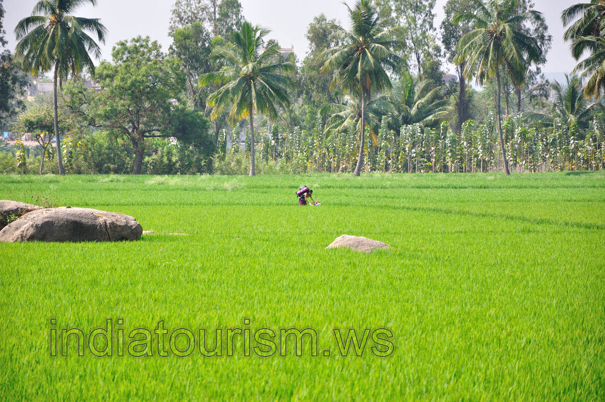 one of two girls has fallen into the ditch