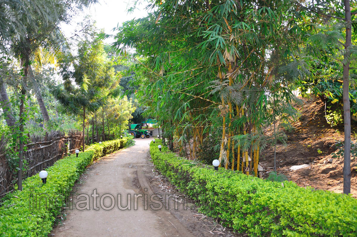 Mowgli guest house & restaurant, right after the gate