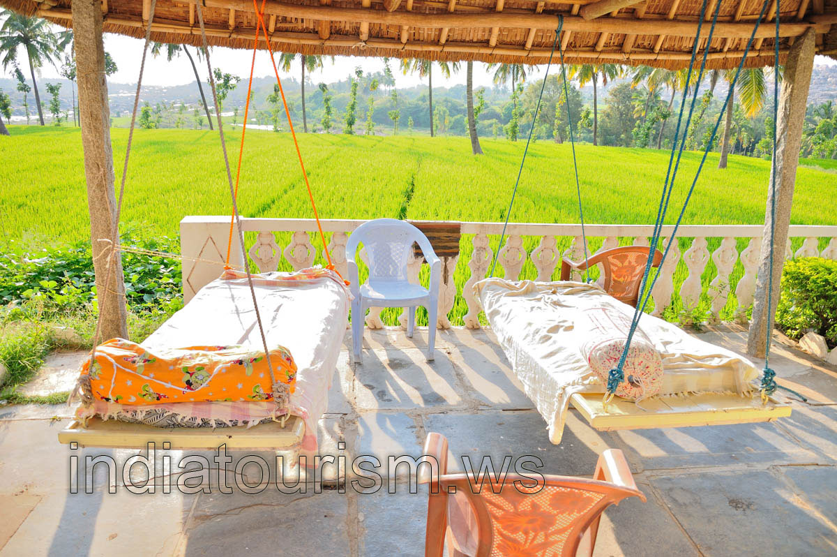 Mowgli guest house, floating beds with the rice field view