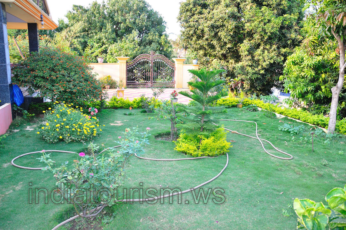 green courtyard of the rich cottage