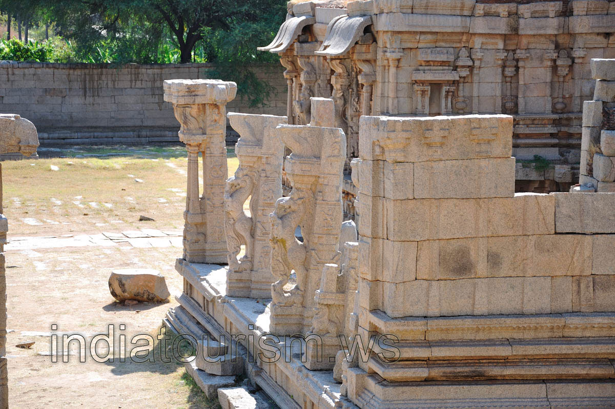horses with the women's faces