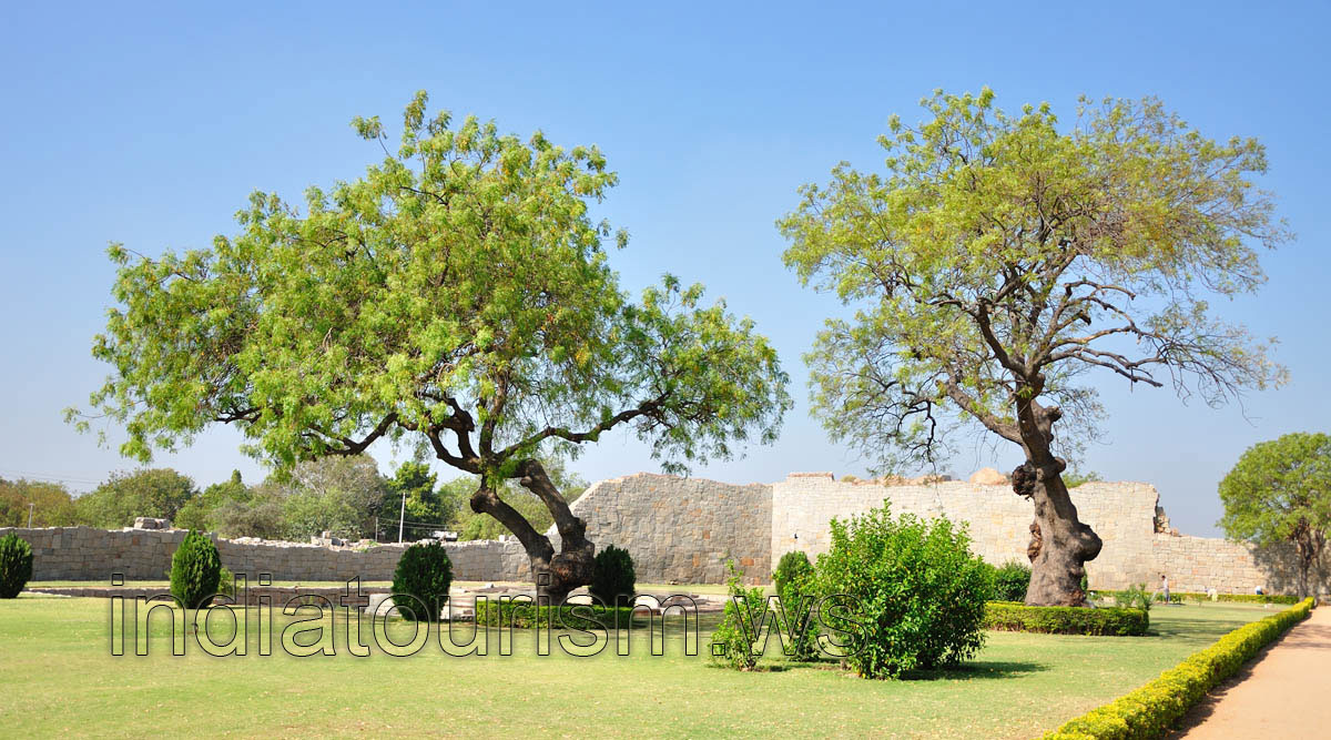 really exotic trees in the inner garden